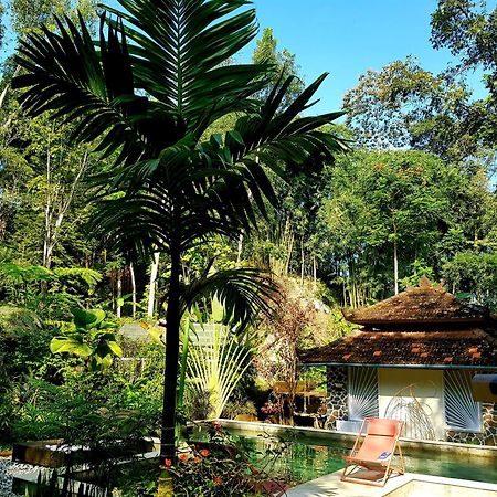 Mi Casa - The Gem Of Ijen Hotel บันยูวังงี ภายนอก รูปภาพ
