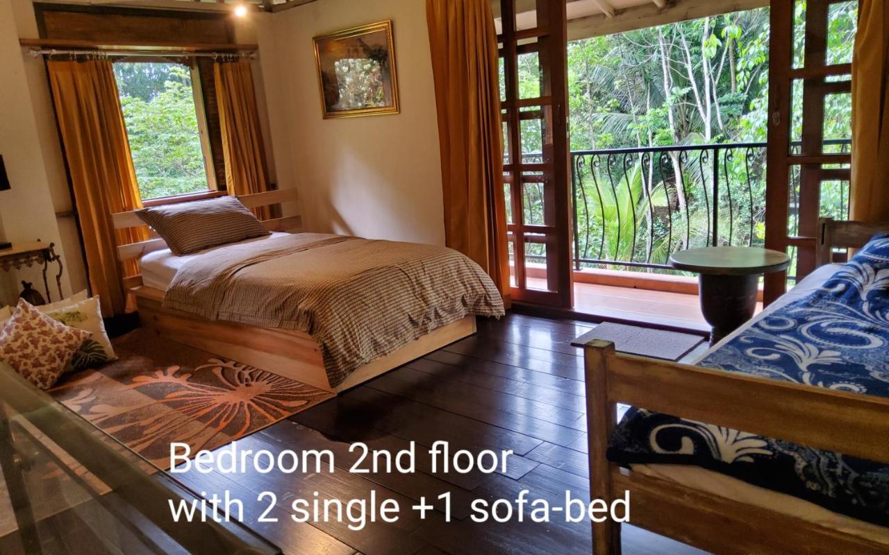 Mi Casa - The Gem Of Ijen Hotel บันยูวังงี ภายนอก รูปภาพ