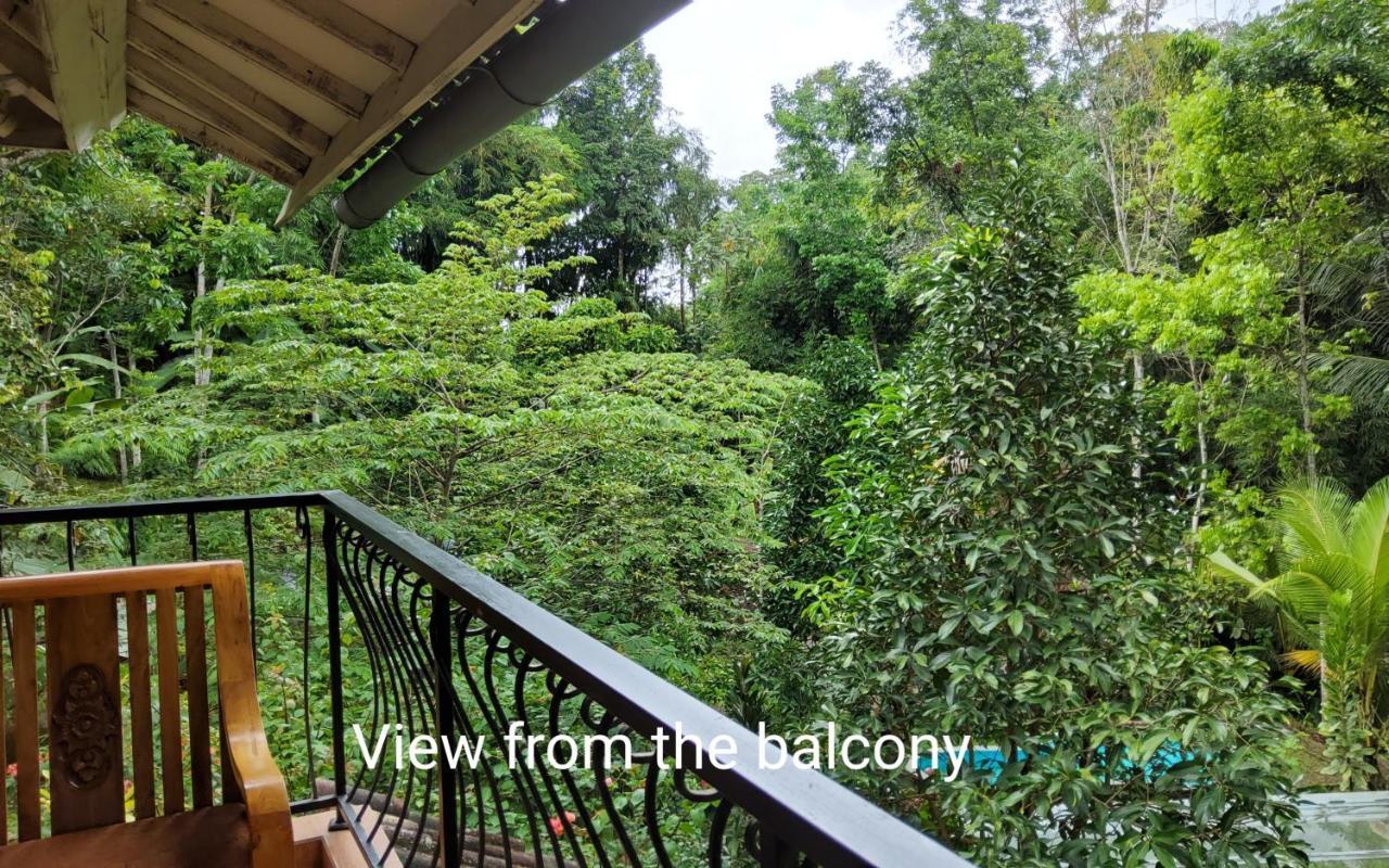 Mi Casa - The Gem Of Ijen Hotel บันยูวังงี ภายนอก รูปภาพ