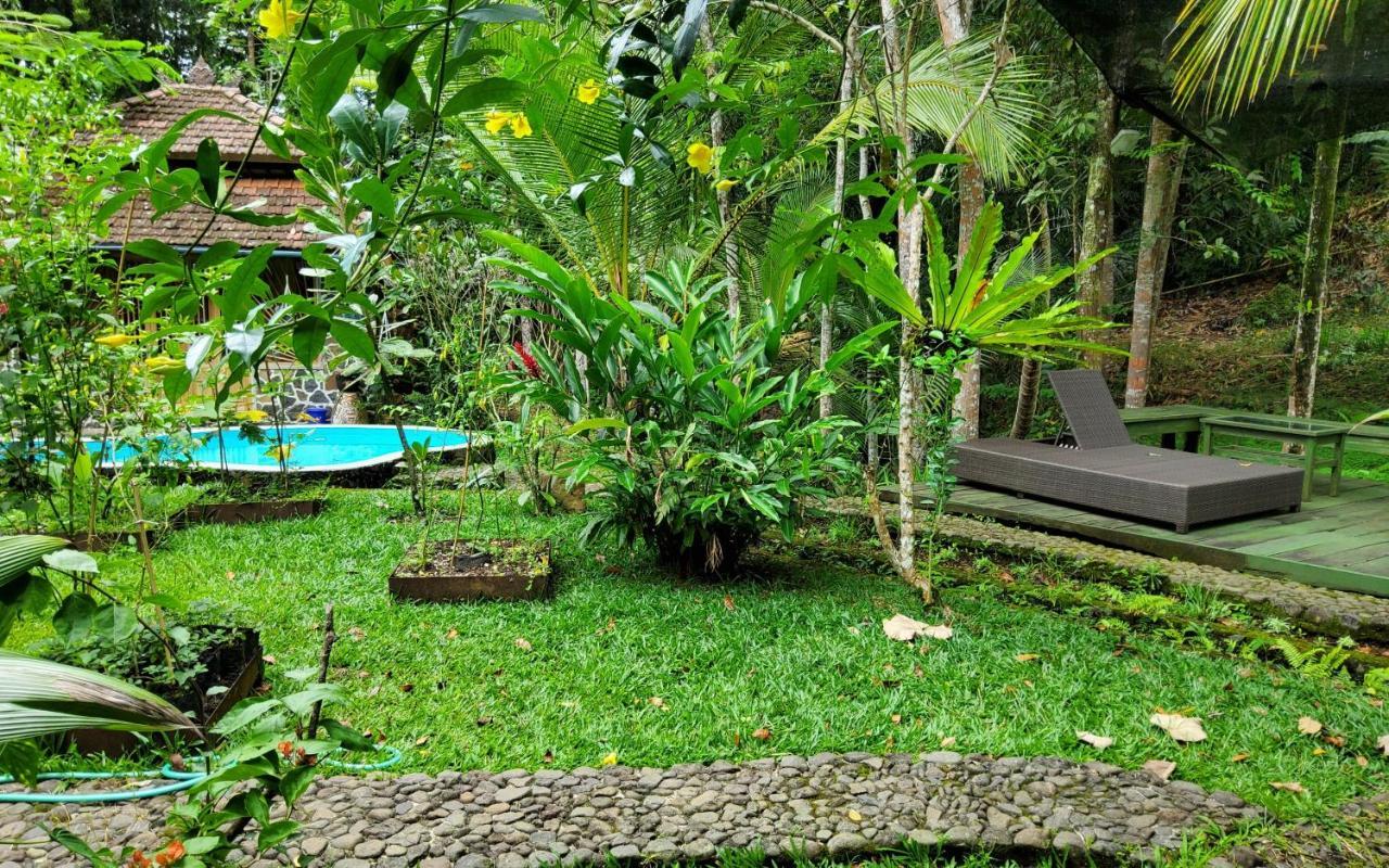 Mi Casa - The Gem Of Ijen Hotel บันยูวังงี ภายนอก รูปภาพ