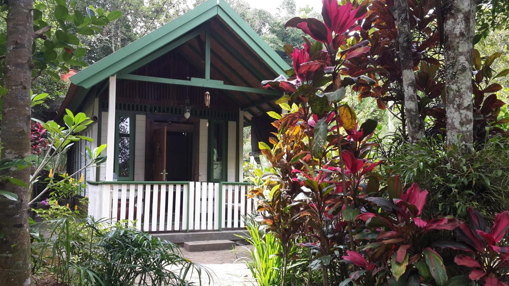 Mi Casa - The Gem Of Ijen Hotel บันยูวังงี ภายนอก รูปภาพ
