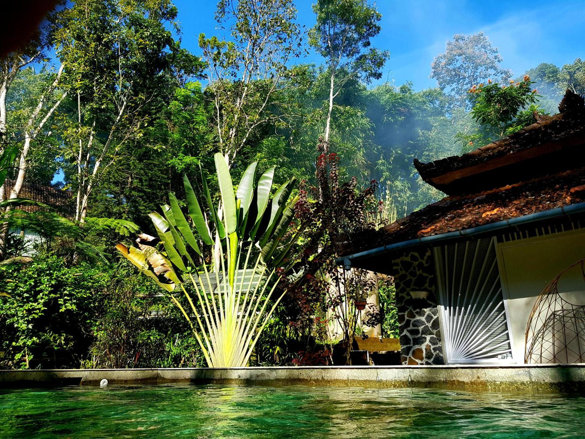 Mi Casa - The Gem Of Ijen Hotel บันยูวังงี ภายนอก รูปภาพ