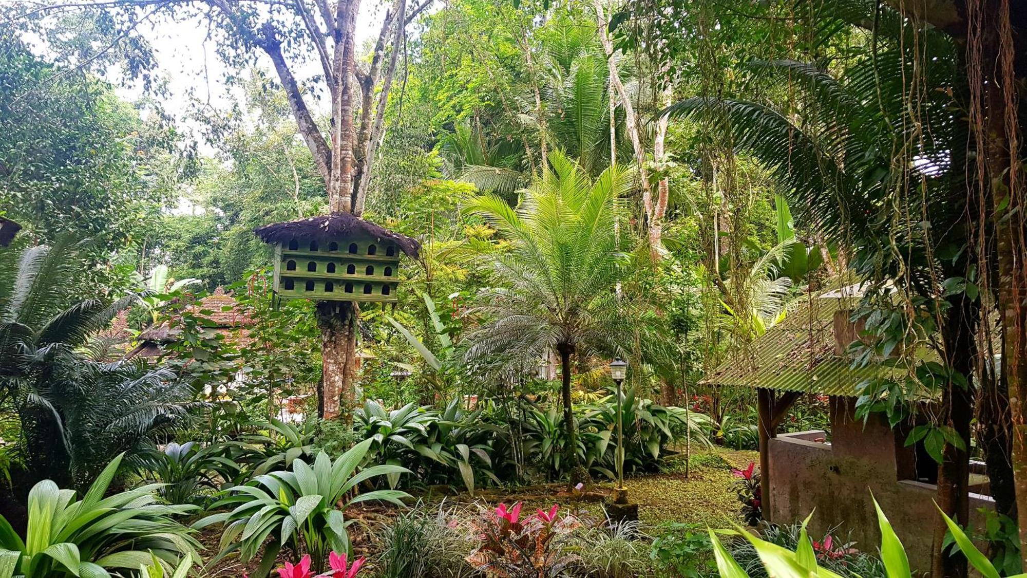 Mi Casa - The Gem Of Ijen Hotel บันยูวังงี ภายนอก รูปภาพ