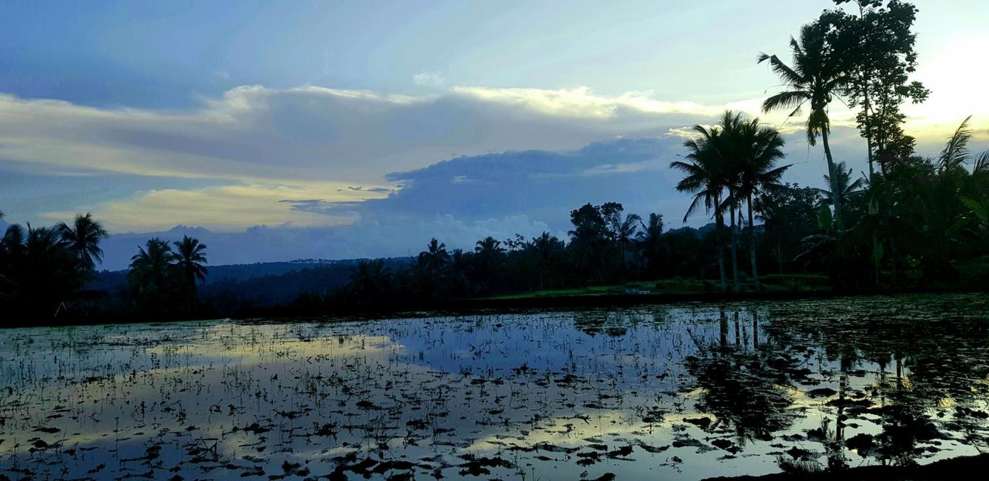Mi Casa - The Gem Of Ijen Hotel บันยูวังงี ภายนอก รูปภาพ