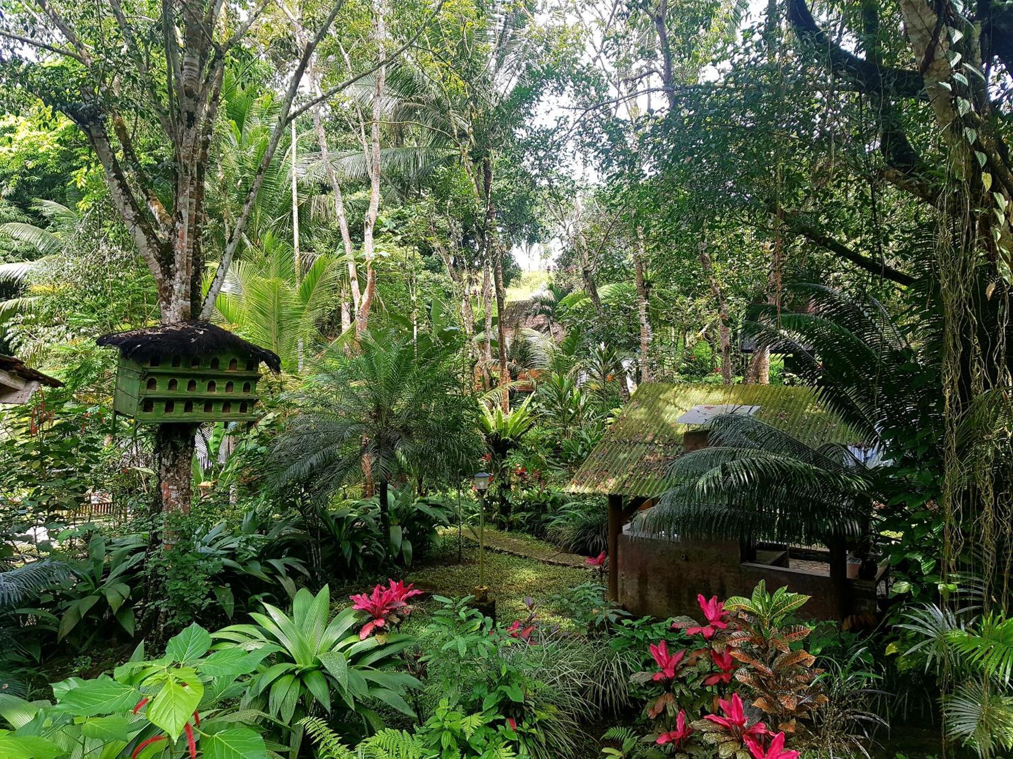 Mi Casa - The Gem Of Ijen Hotel บันยูวังงี ภายนอก รูปภาพ